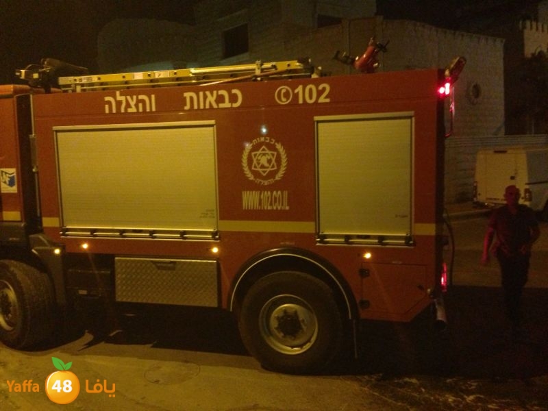 firelud608608 (16).jpg